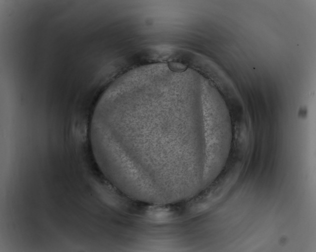 X0000103960602200809261813