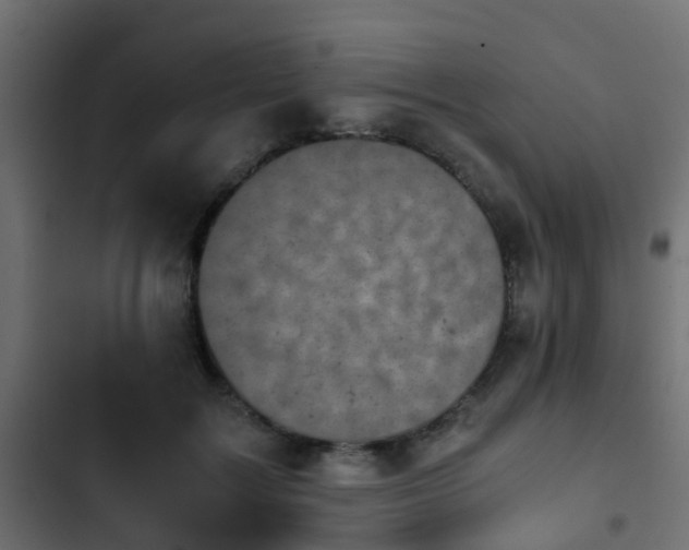 X0000103960603200809261813