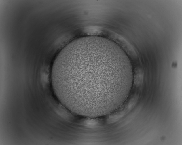 X0000103960604200809261813