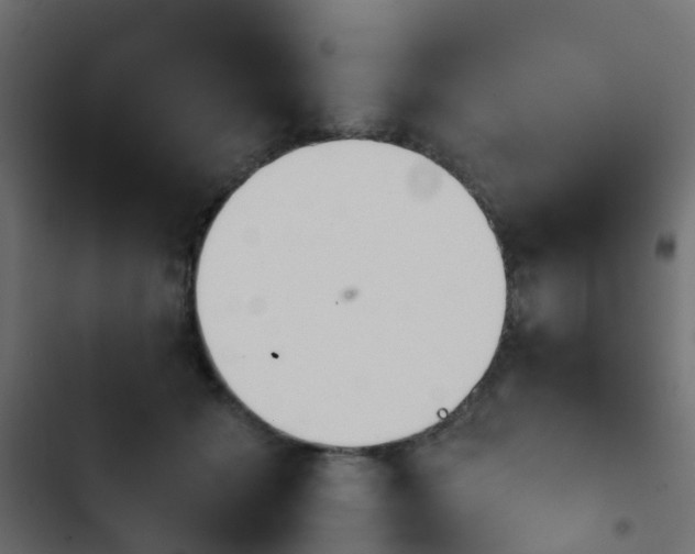 X0000103960605200809261813