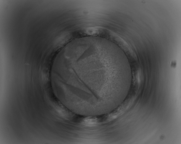 X0000103960606200809261813