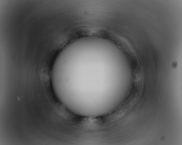 X0000103960607200809261813