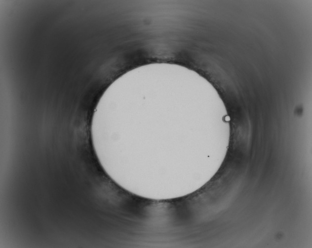 X0000103960609200809261813