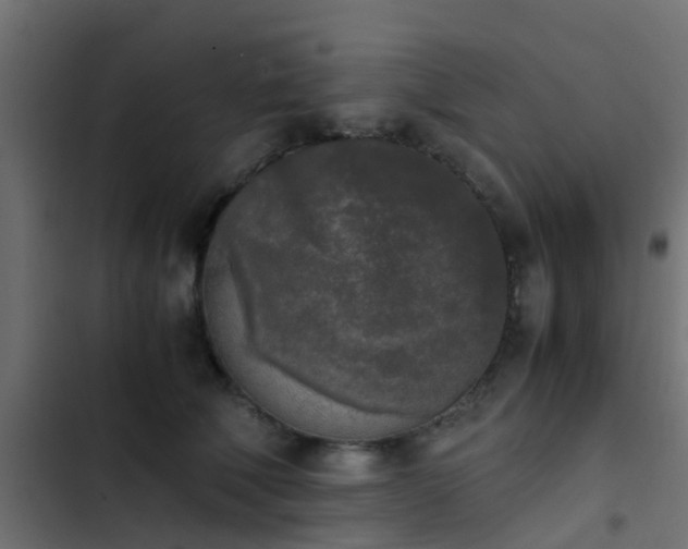 X0000103960610200809261813
