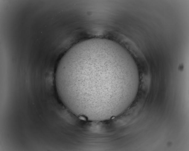 X0000103960612200809261813
