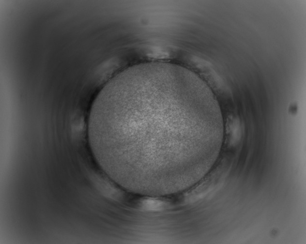 X0000103960614200809261813