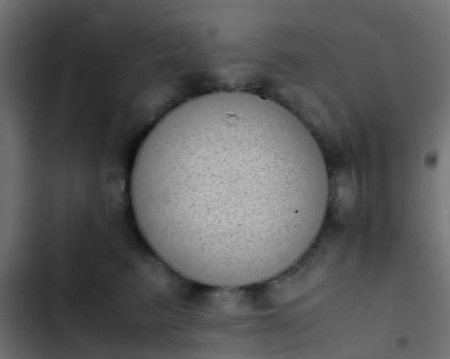 X0000103960615200809261813