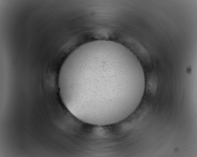 X0000103960616200809261813