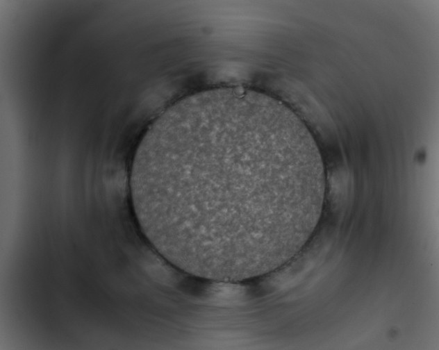 X0000103960617200809261813