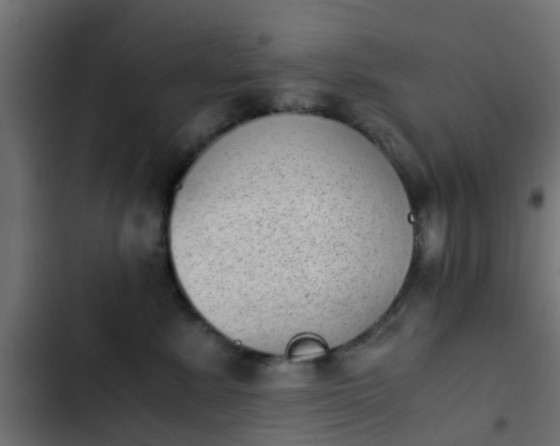 X0000103960619200809261813