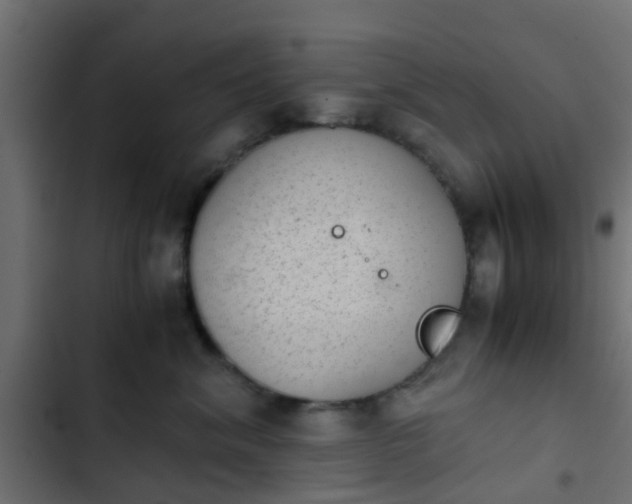 X0000103960620200809261813