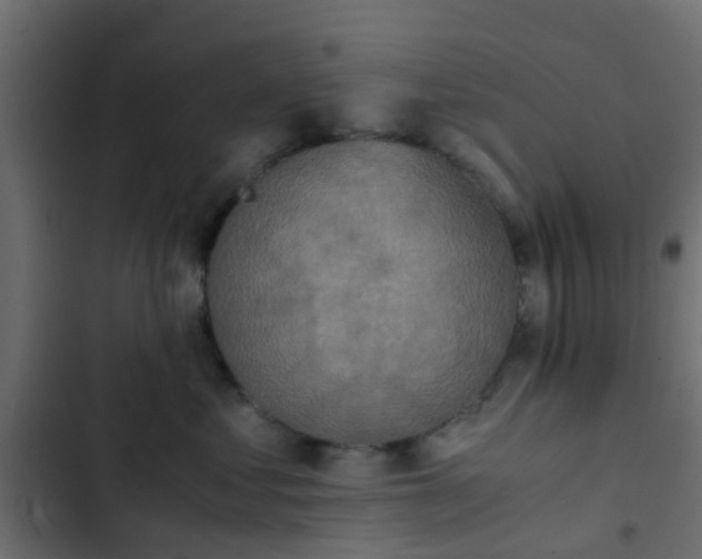 X0000103960621200809261813