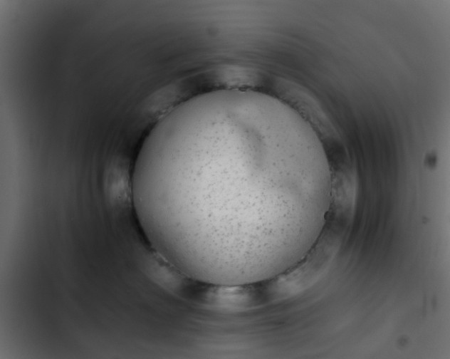 X0000103960622200809261813