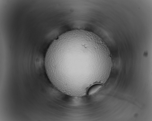 X0000103960623200809261813