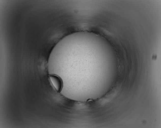 X0000103960624200809261813