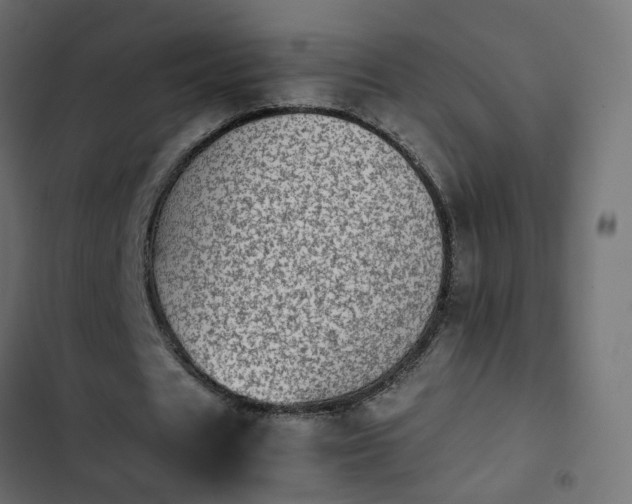 X0000103960625200809261812