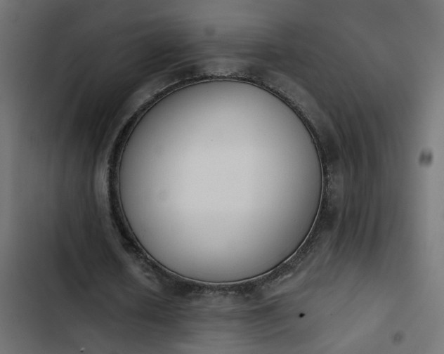 X0000103960626200809261812