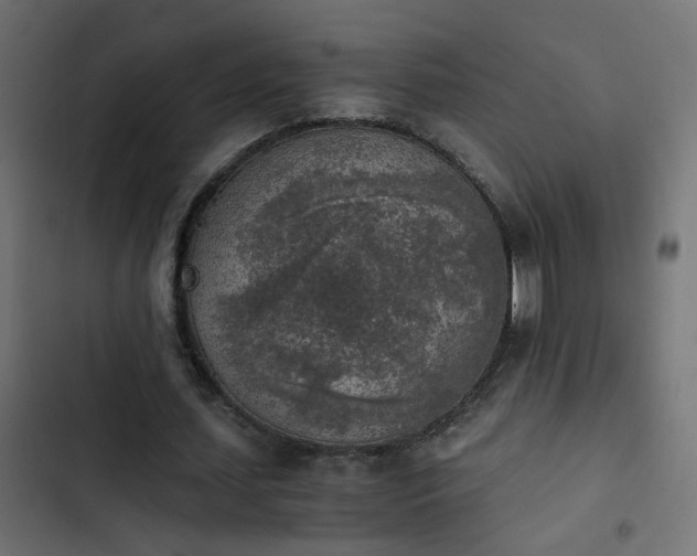 X0000103960627200809261812