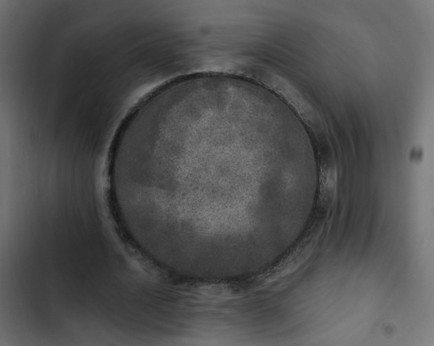 X0000103960628200809261812