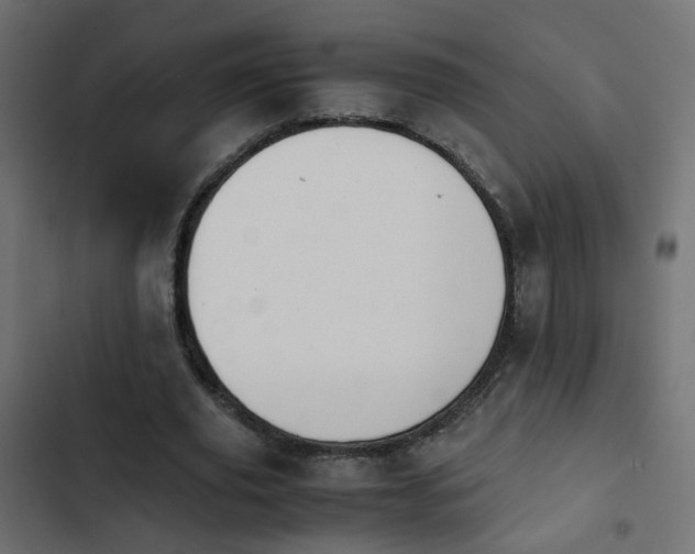 X0000103960629200809261812