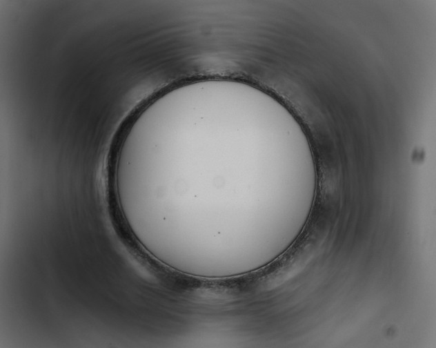 X0000103960630200809261812