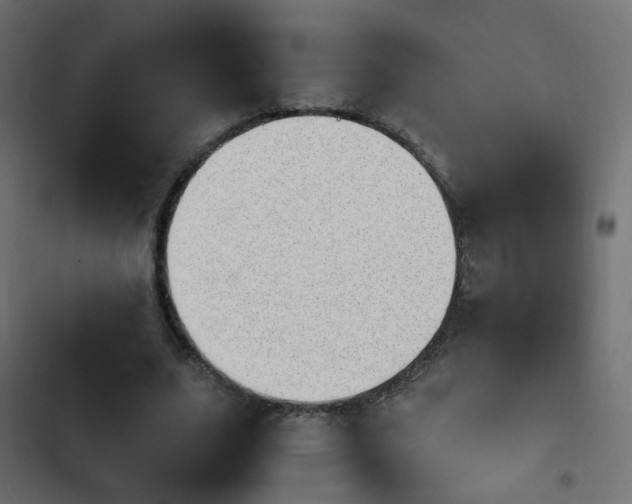 X0000103960631200809261812