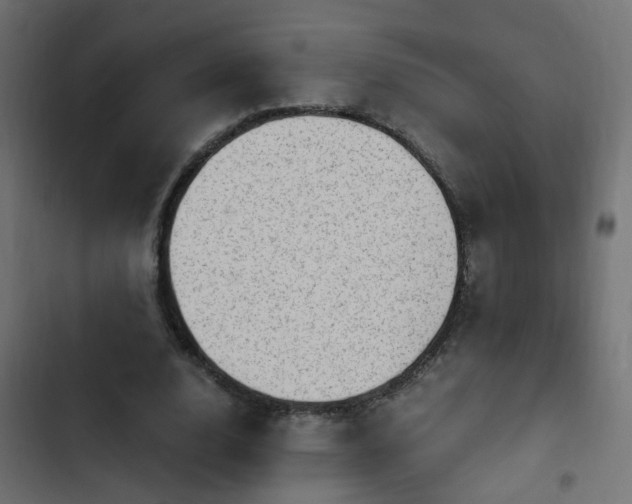 X0000103960632200809261812