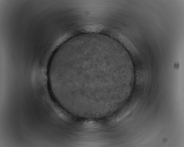 X0000103960634200809261812