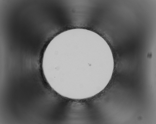 X0000103960635200809261812