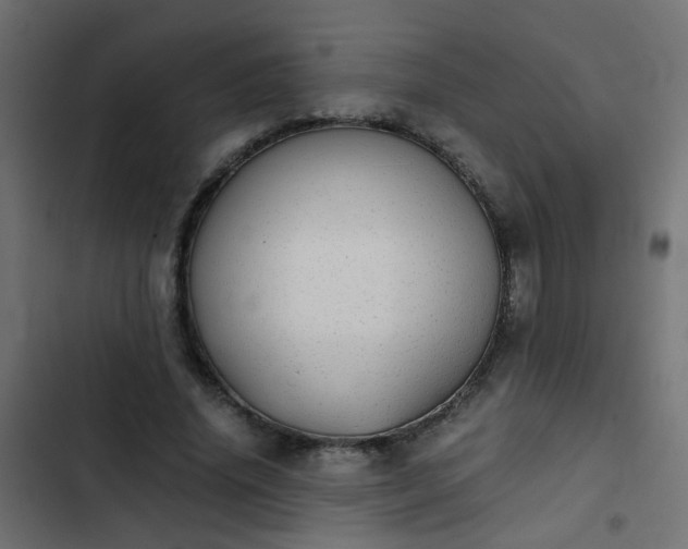 X0000103960636200809261812
