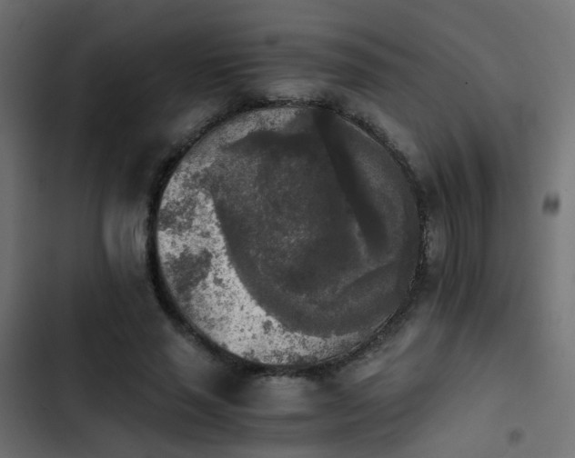 X0000103960637200809261812
