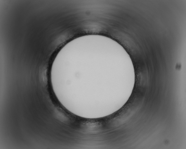X0000103960638200809261812