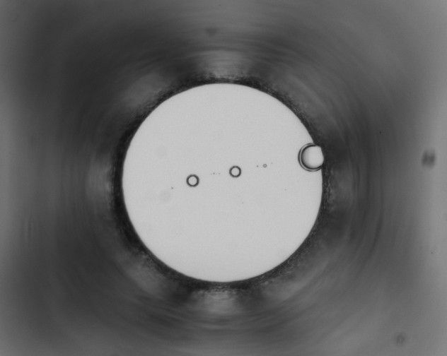 X0000103960639200809261812