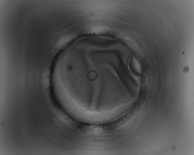 X0000103960640200809261812