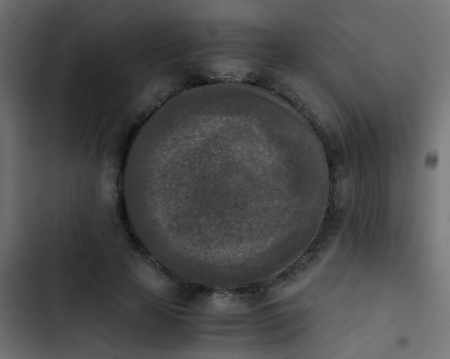 X0000103960641200809261812