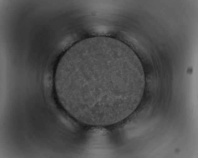 X0000103960642200809261812
