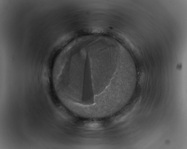 X0000103960643200809261812