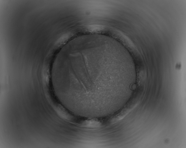 X0000103960644200809261812