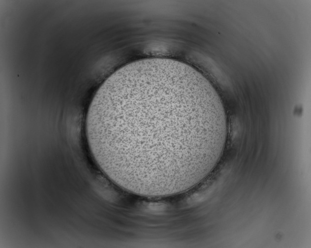 X0000103960645200809261812