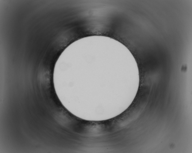 X0000103960646200809261812