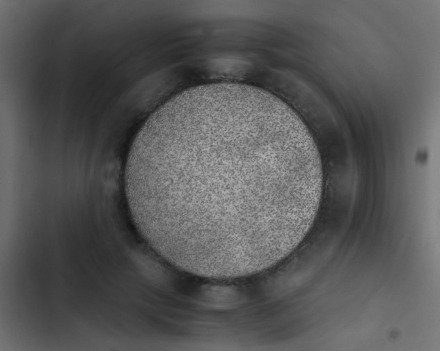 X0000103960649200809261812