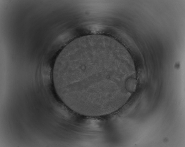 X0000103960650200809261812