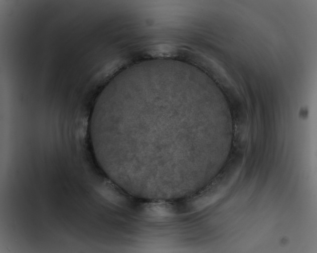 X0000103960652200809261812