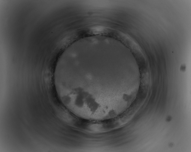 X0000103960653200809261812