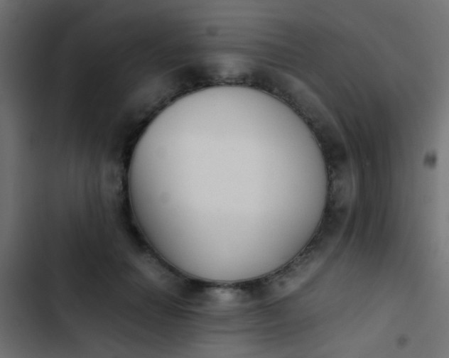 X0000103960654200809261812