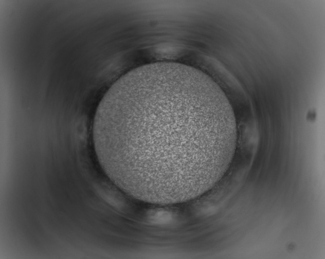 X0000103960655200809261812