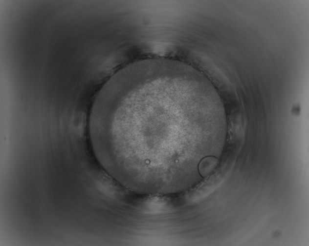 X0000103960656200809261812