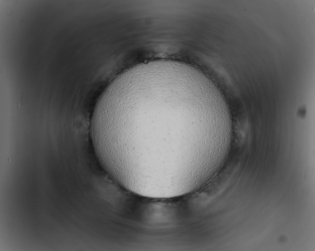 X0000103960657200809261812