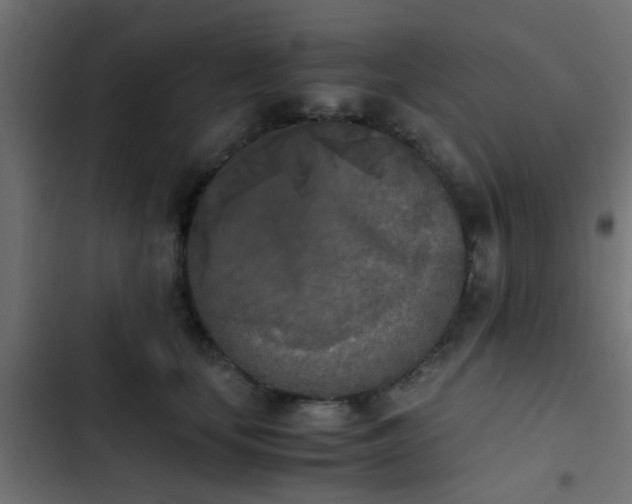 X0000103960659200809261813