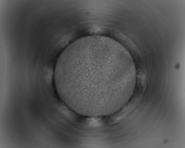X0000103960660200809261813